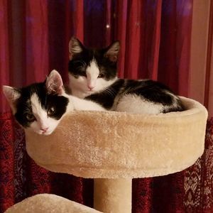 Meet your Posher, Sherry